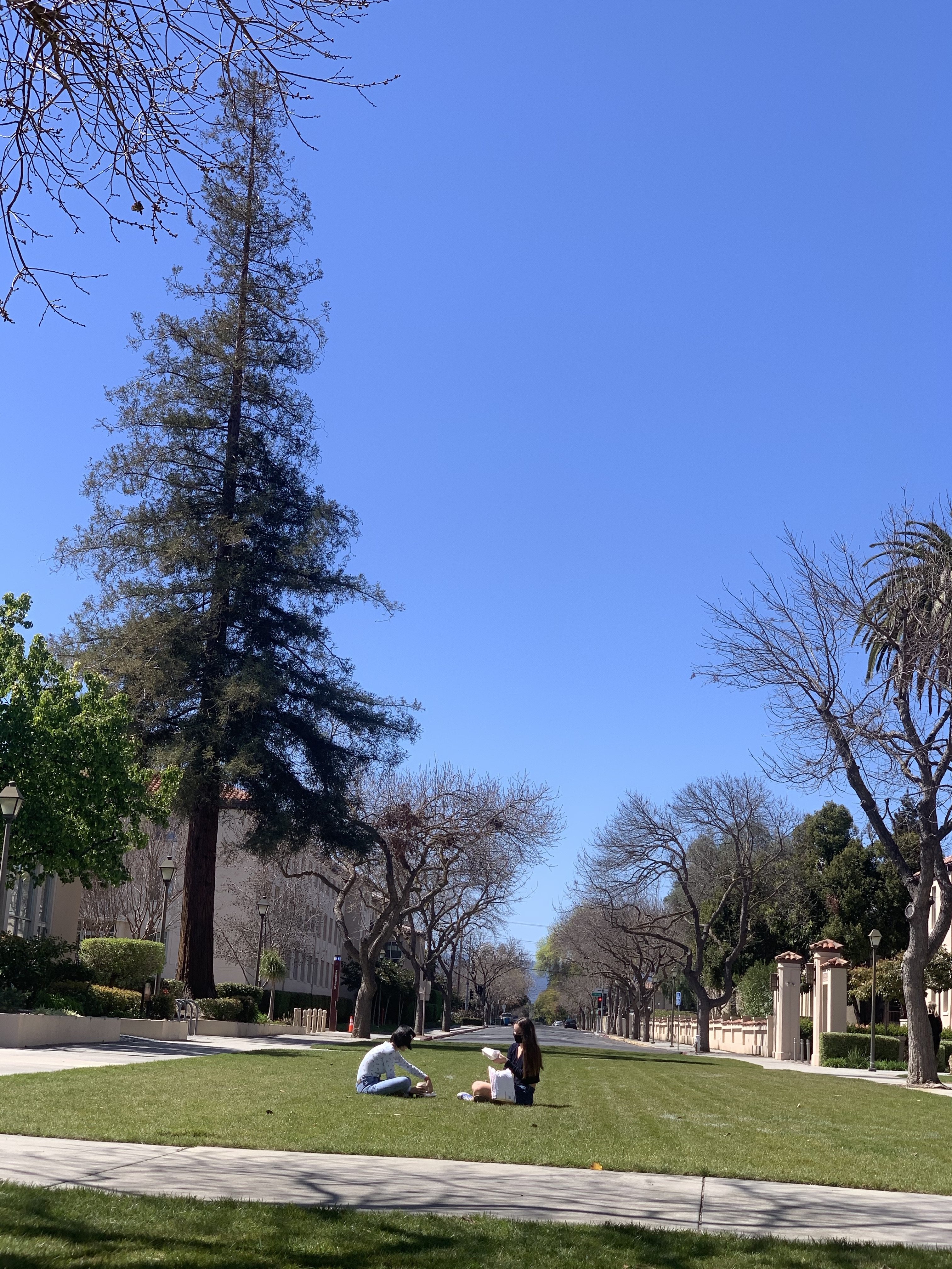 卻道天涼好個秋